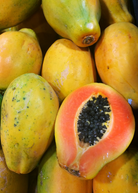 Sunset Solo Papaya tropical fruit tree in coconut coir pot, grown by Sow Exotic, with lush green foliage and healthy growth.