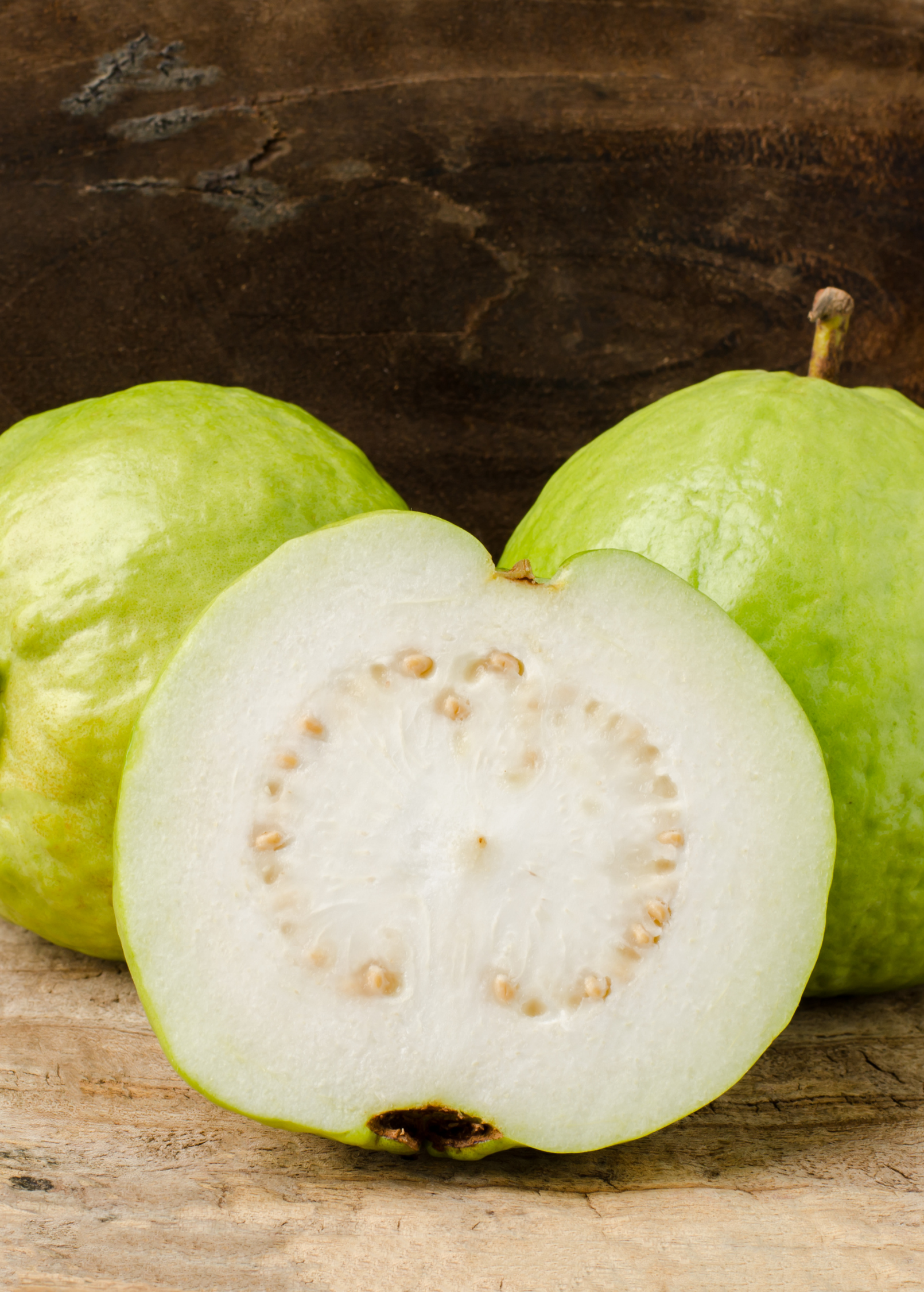 Large guava 'Kilo' tropical fruit tree in burlap pot by Sow Exotic, showcasing lush green foliage and healthy growth.