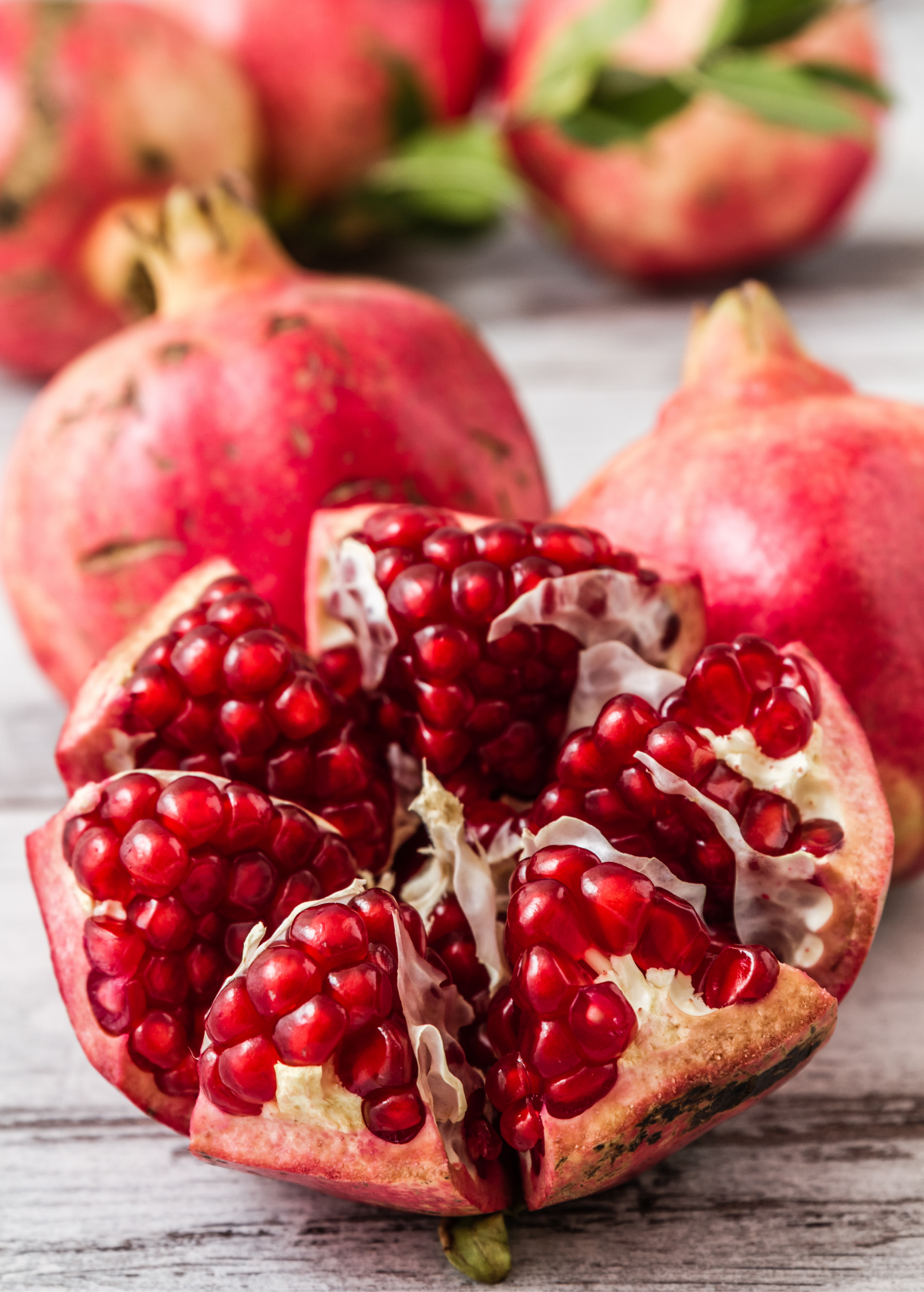 Large pomegranate Parfianka tree from Sow Exotic in burlap pot, tropical fruit tree with lush green foliage and fruit-bearing branches.