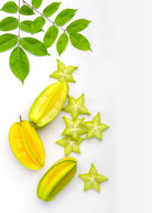 Large star fruit 'Kari' tree in burlap pot by Sow Exotic, showcasing lush green tropical fruit tree with star-shaped fruit.