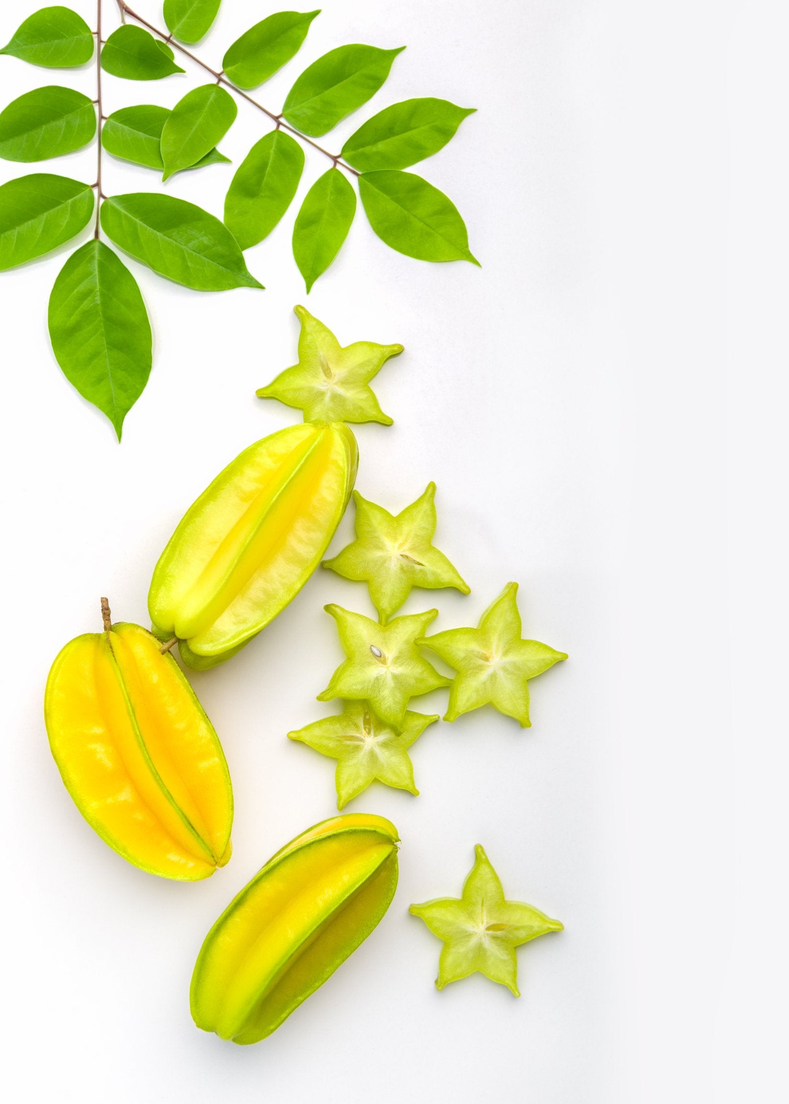 Large star fruit 'Kari' tree in burlap pot by Sow Exotic, showcasing lush green tropical fruit tree with star-shaped fruit.