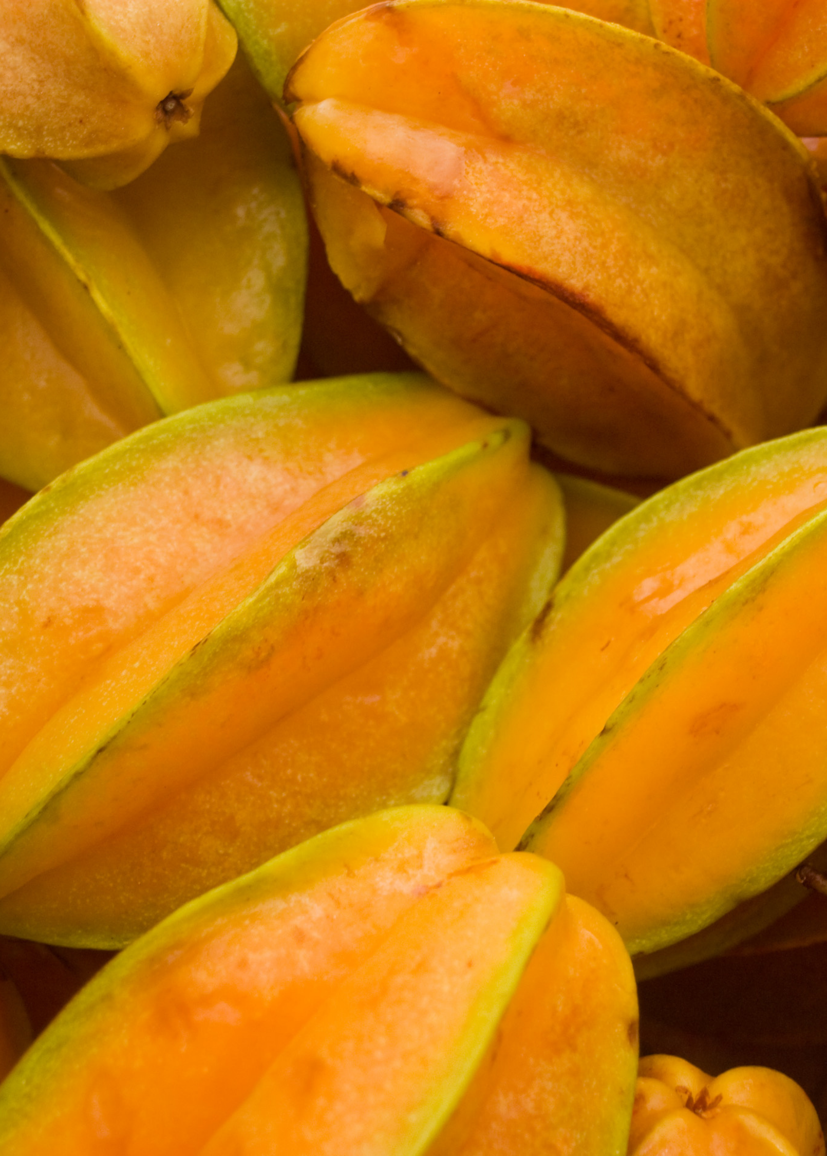 Large star fruit 'Lara' tropical fruit tree in a burlap pot by Sow Exotic, showcasing green star-shaped fruit and lush foliage.