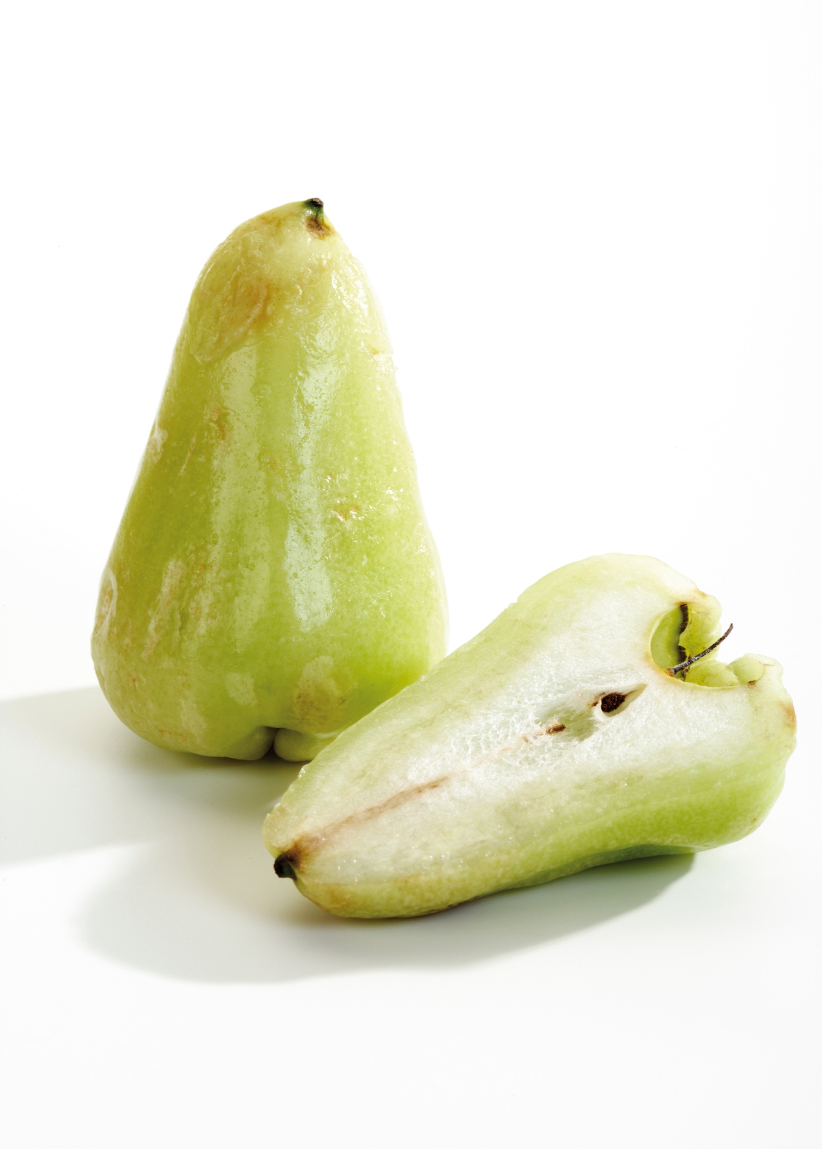 Large green Wax Jambu tropical fruit tree in burlap pot by Sow Exotic, showcasing lush foliage and healthy growth.