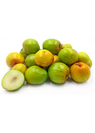 Large nursery pot of Sow Exotic Indian Jujube tropical fruit tree with lush green leaves and sturdy branches.