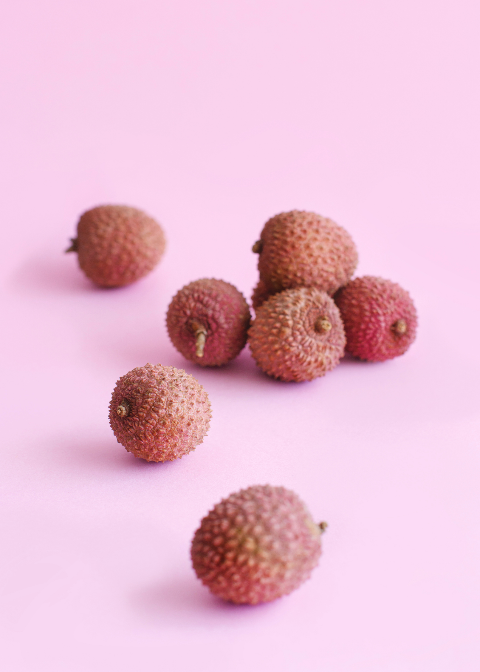Large nursery pot of Sow Exotic Lychee Brewster tree, tropical fruit tree with lush green foliage and young branches.
