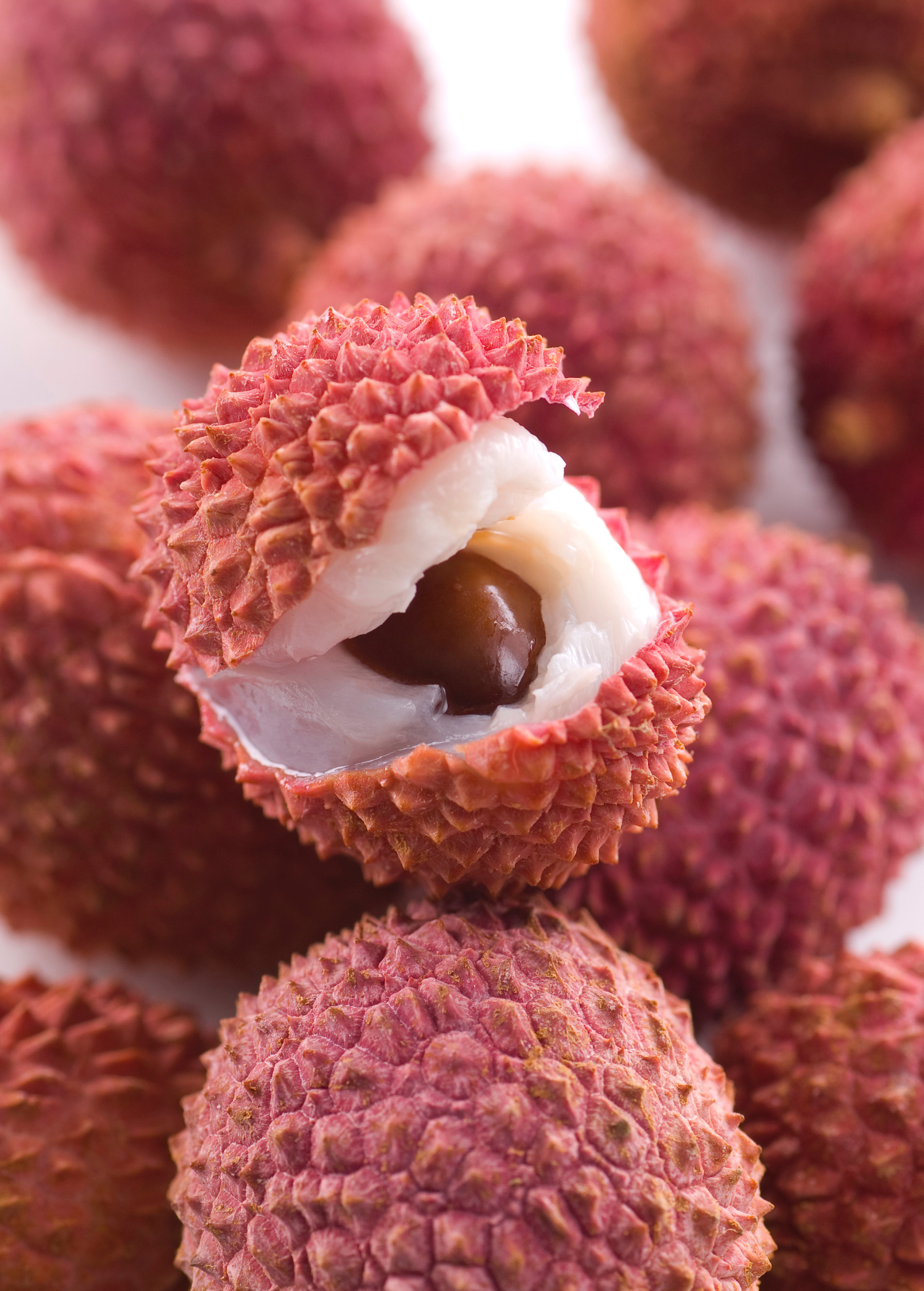 Large nursery pot of Sow Exotic Lychee 'Brewster', a tropical fruit tree with lush green foliage and new growth.