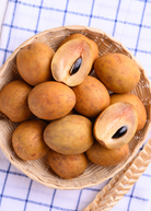 Large plantable pot with Sow Exotic Sapodilla 'Brown Sugar' tropical fruit tree, featuring lush green leaves and healthy growth.