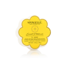 Spongellé Daisy Spongette Assorted Pack, body wash infused buffers with floral design, soft sponge texture for skin cleansing.