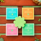 Spongellé Eco Body Buffer Assorted Pack with wash-infused sponges for gentle cleansing and exfoliation.