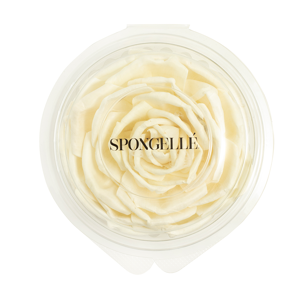 Spongellé Floret Replacement for home fragrance diffuser, featuring a sleek design and floral scent, ideal for enhancing home ambiance.