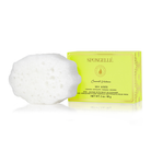 Spongellé Coconut Verbena Pedi Buffer for exfoliating and softening feet with a natural coconut and verbena scent.