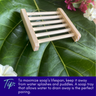 Charcoal and tea tree soap bar by Sweet ʻŌkole Soap, microbiome-friendly cleanser for clear, healthy skin.