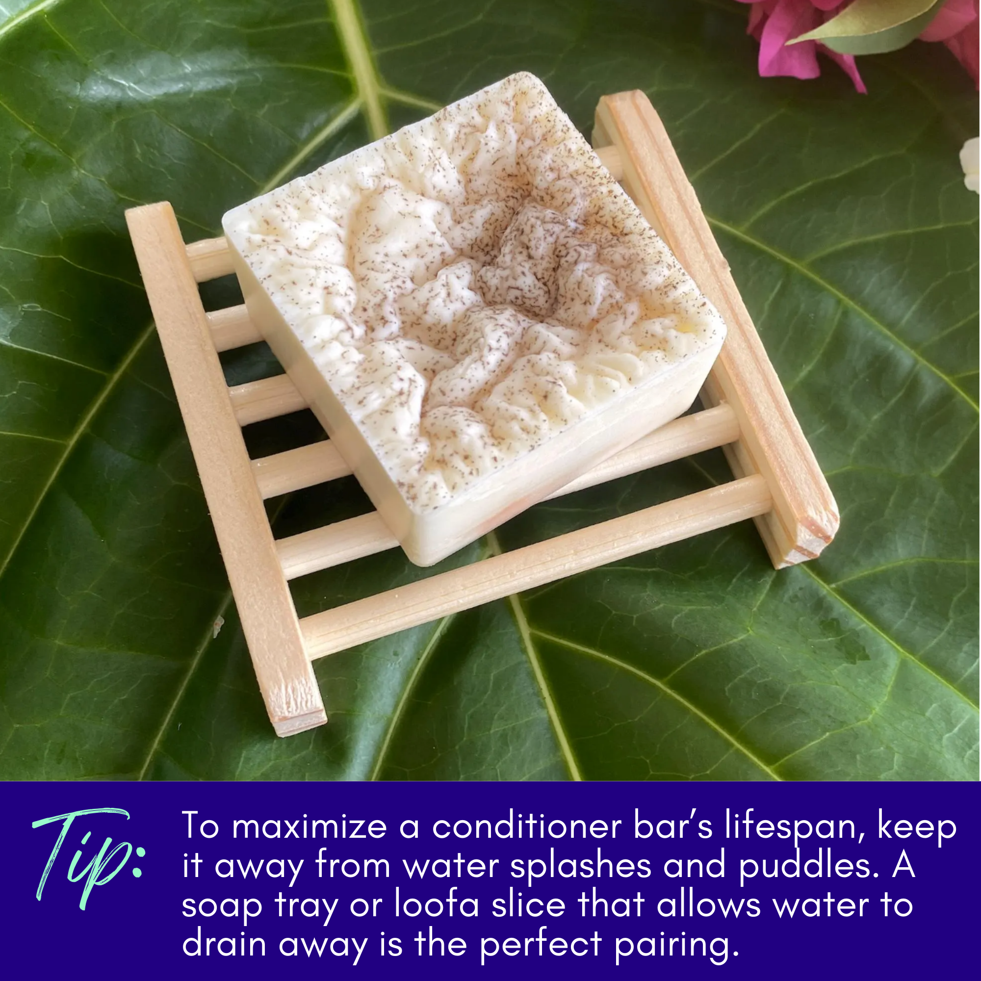 Natural conditioner bar from Sweet ʻŌkole Soap with eucalyptus, lime essential oils, and noni for nourishing hair.