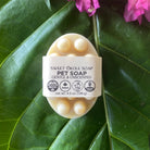 Gentle unscented natural pet shampoo by Sweet ʻŌkole Soap for sensitive skin dogs and cats, lathered on a pet during bath time.