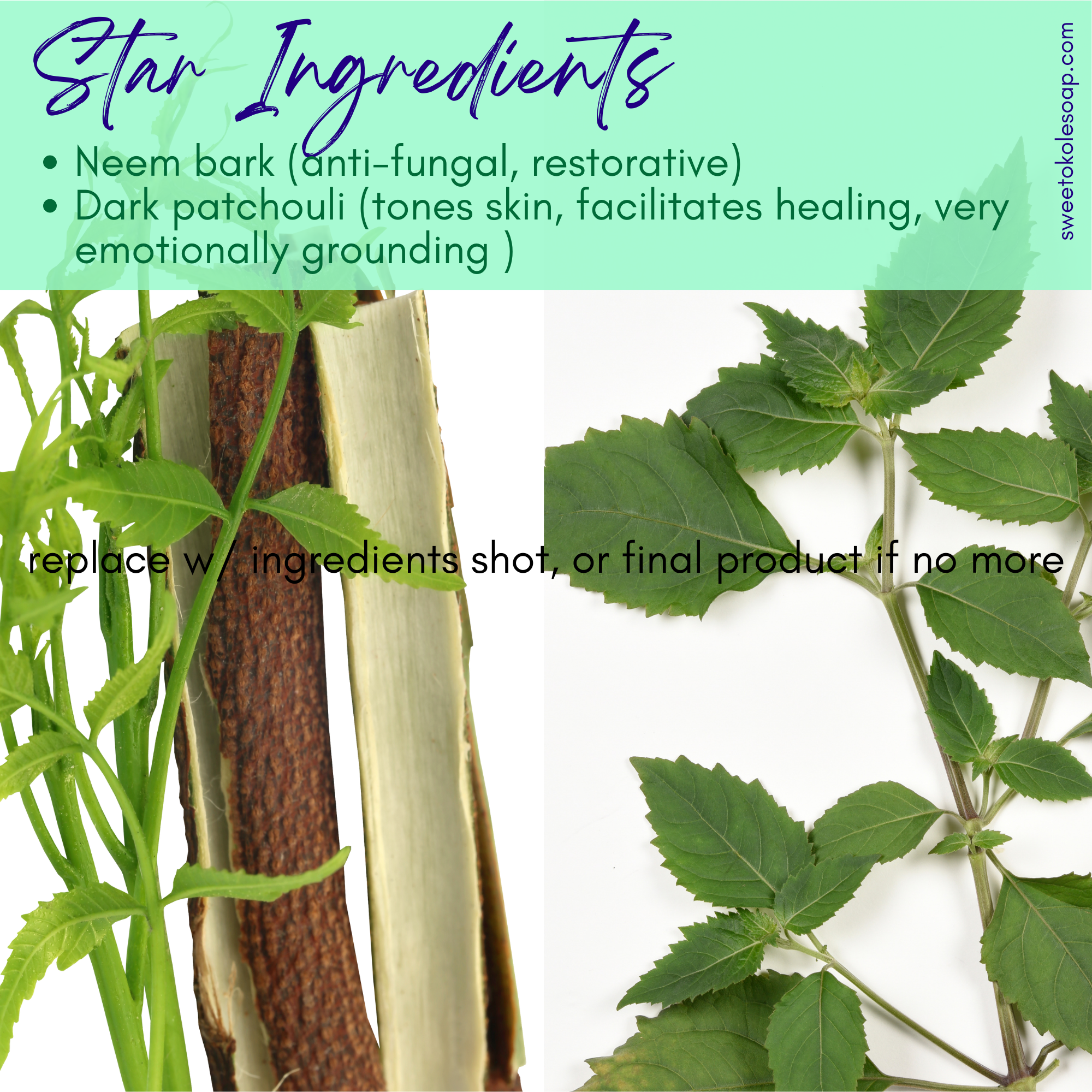 Natural Neem Bark and Patchouli soap with shea butter from Sweet ʻŌkole Soap, showing a bar of soap with earthy tones and botanical ingredients.