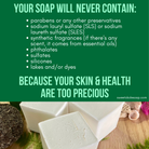 Solid dish soap bar by Sweet ʻŌkole Soap, non-toxic, unscented, plastic-free dishwashing soap on a kitchen countertop.