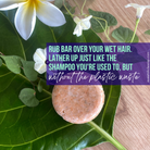 Solid shampoo bar by Sweet ʻŌkole Soap with Mamaki and lemongrass, showcasing the natural rectangular soap with fresh botanical ingredients.