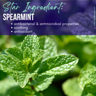 Spearmint Tooth Powder with Noni and 5% Hydroxyapatite by Sweet ʻŌkole Soap, featuring natural ingredients and fresh mint flavor.