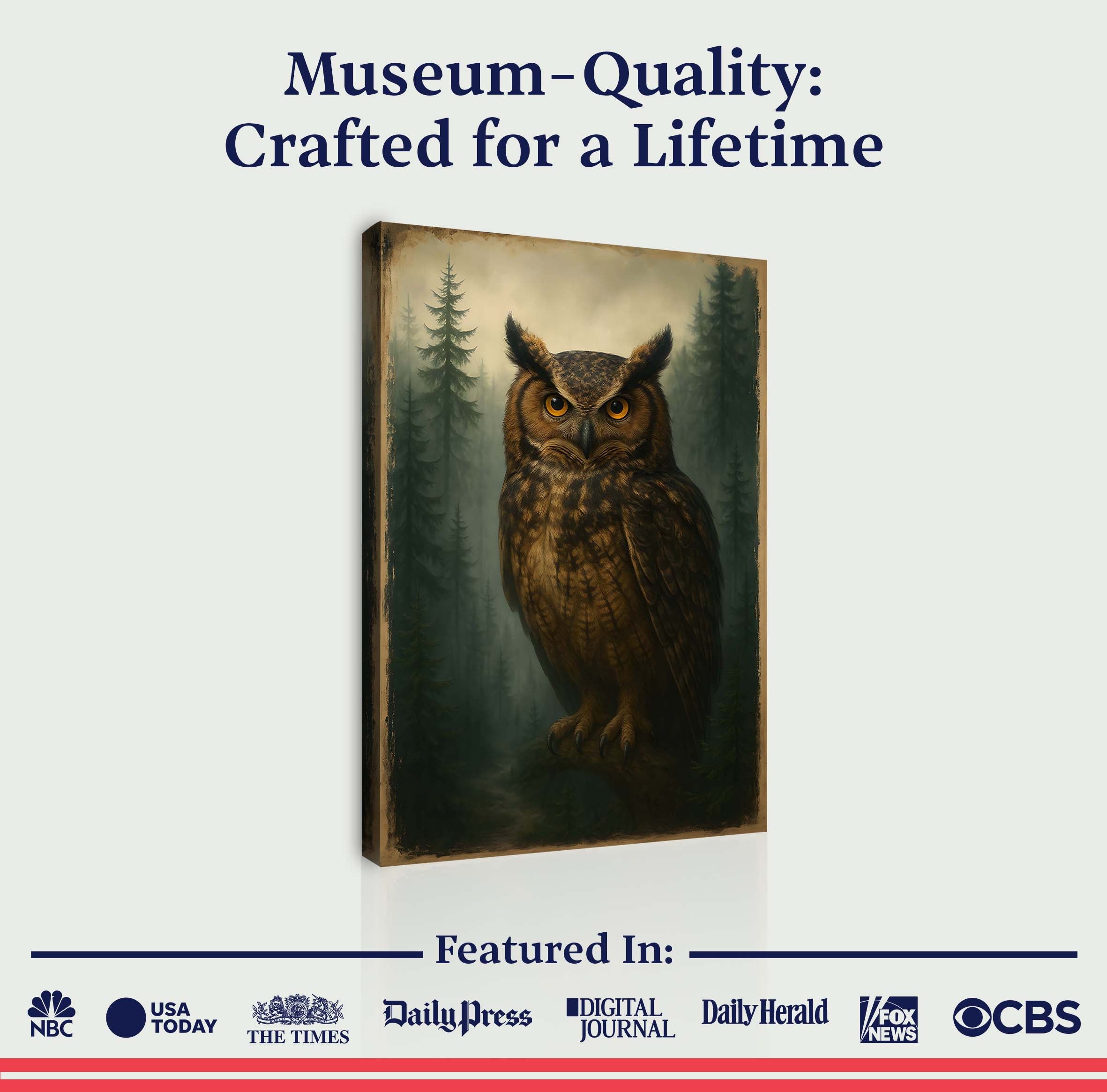 Tailored Canvases owl wall art on canvas featuring a detailed owl design, ideal for nature-inspired home decor.