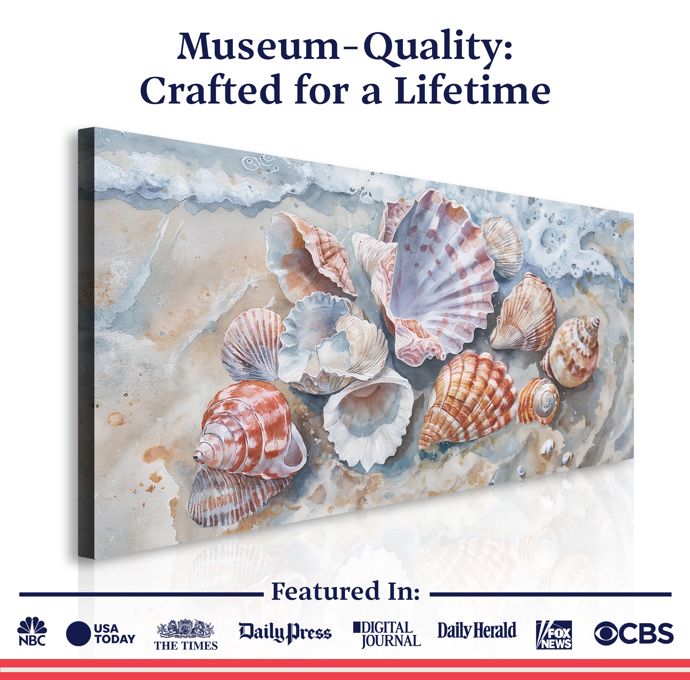 Modern coastal wall art canvas featuring seashell designs by Tailored Canvases, perfect for beach-inspired home decor.