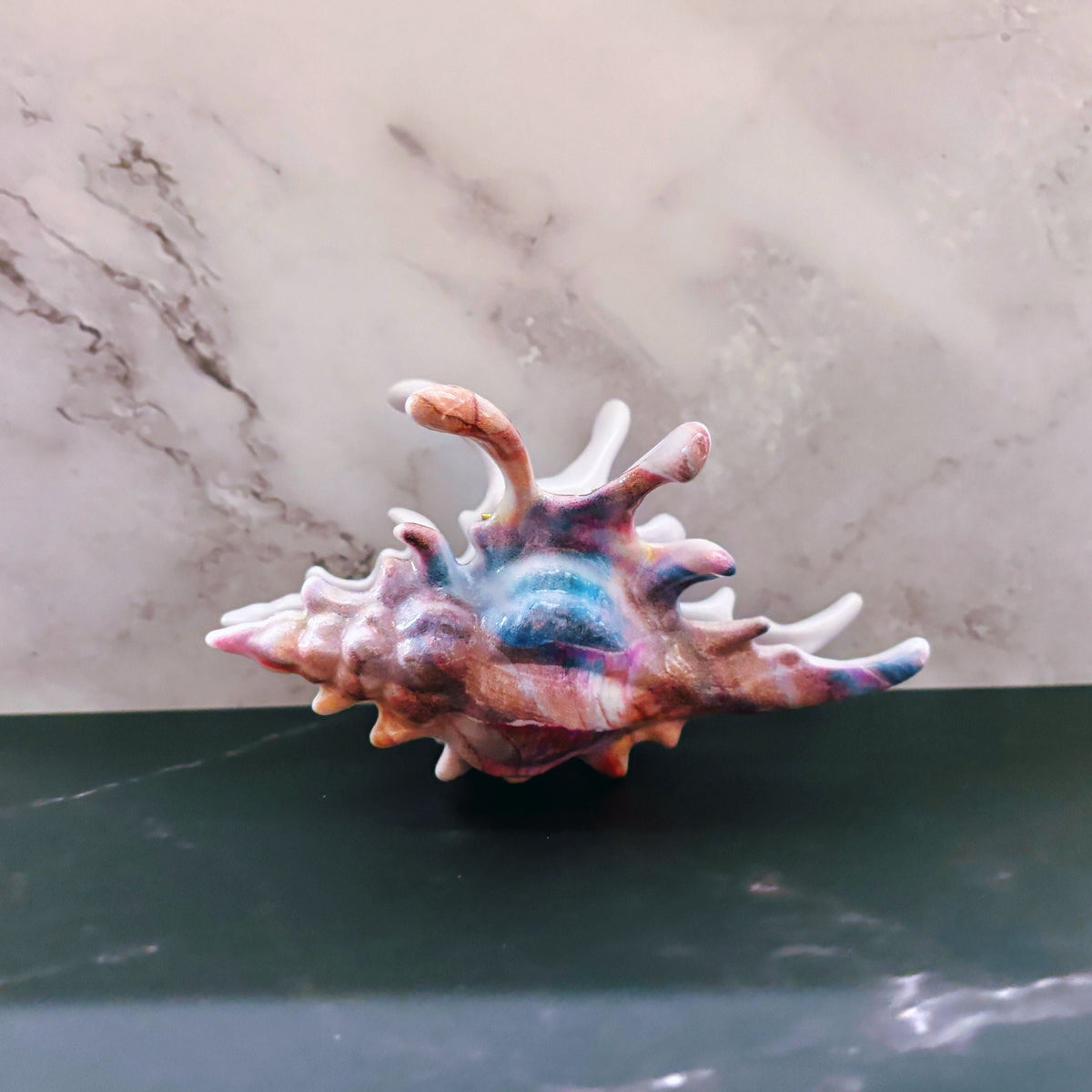 Velvet Claws conch shell hair clip in vibrant mermaid colors, realistic design, perfect for stylish hair accessories.