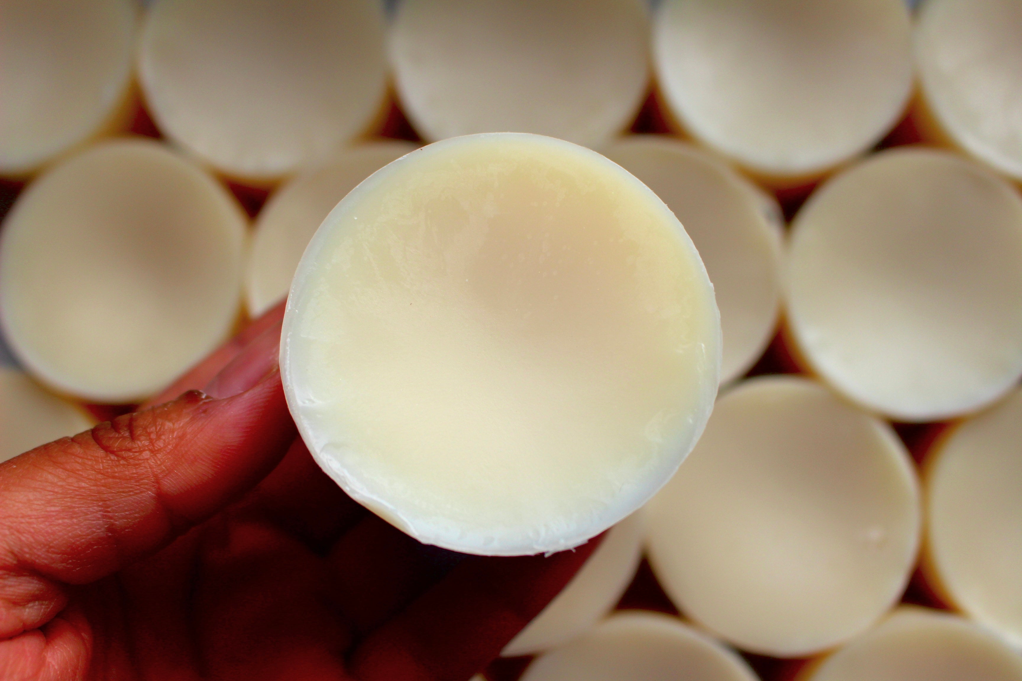 Tingling Tea Tree & Peppermint Conditioner Bar by The Earthly Alternative, natural conditioner bar with invigorating botanical ingredients.