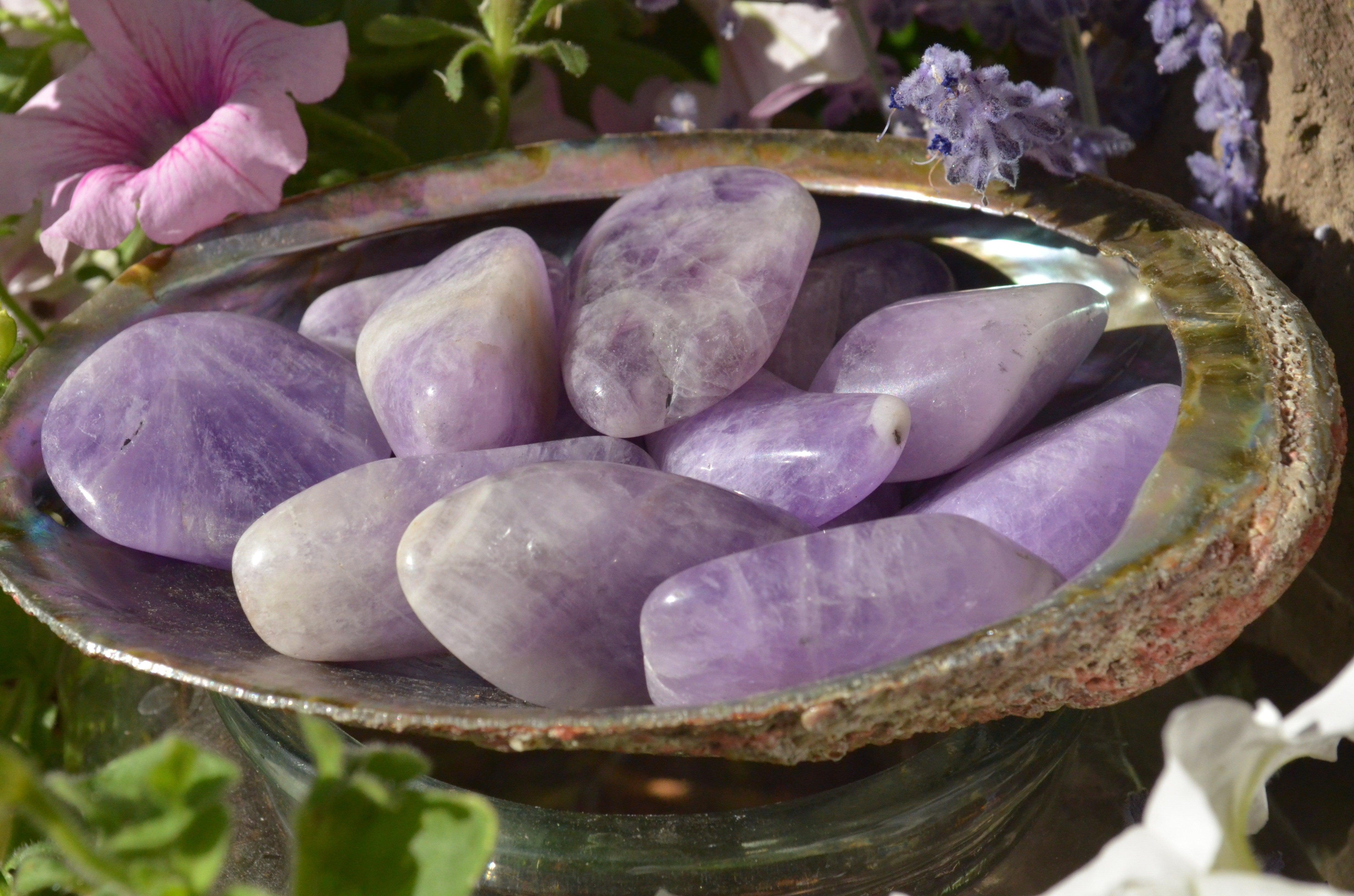 Amethyst Tumbled Stones - Practical Magic Store