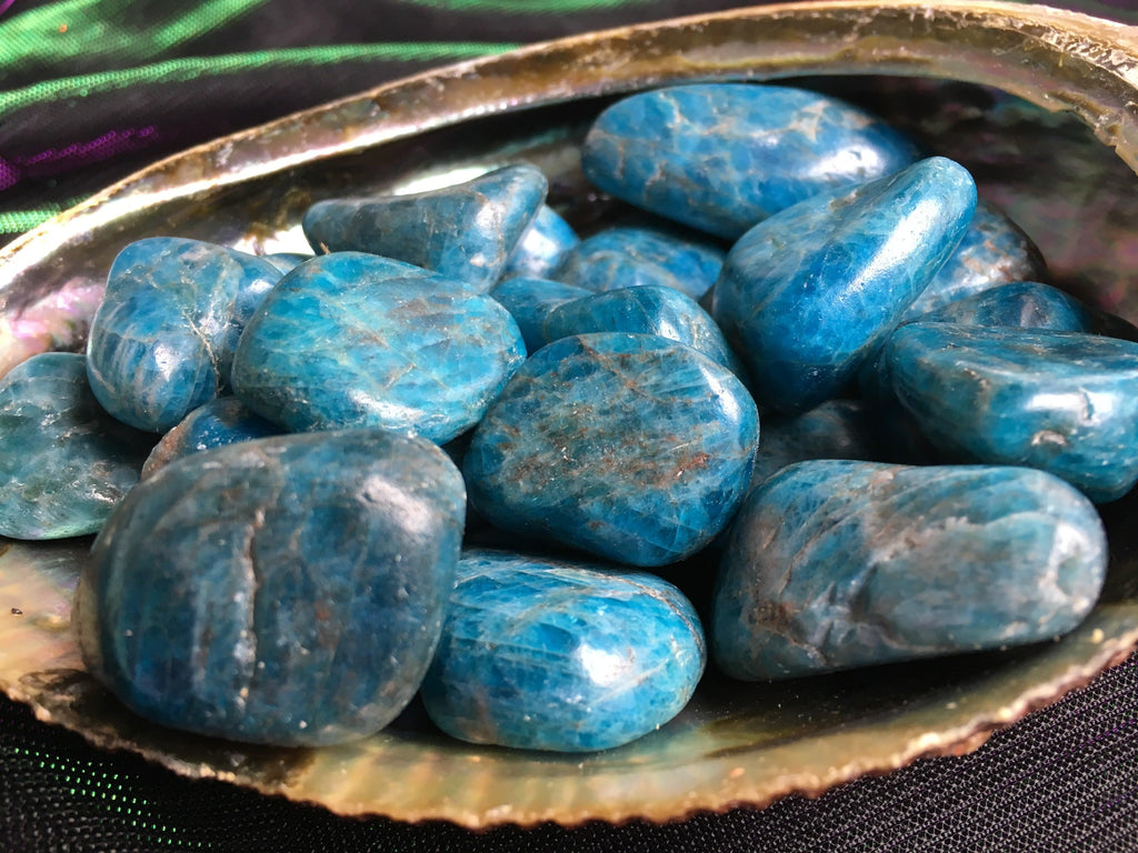 Blue Apatite Tumbled Stones - Practical Magic Store