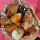 Carnelian Tumbled Stones - Practical Magic Store