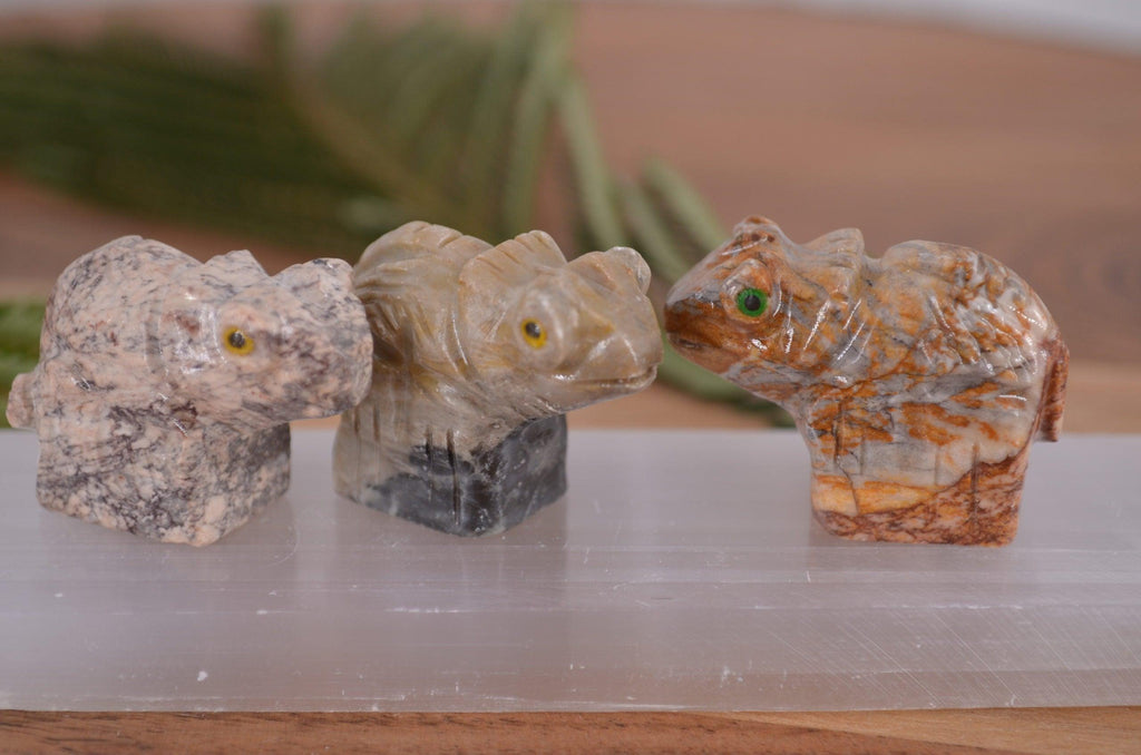 Chameleon Soapstone Steatite Carving - Practical Magic Store