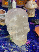 Clear Quartz Skull #4 - Practical Magic Store