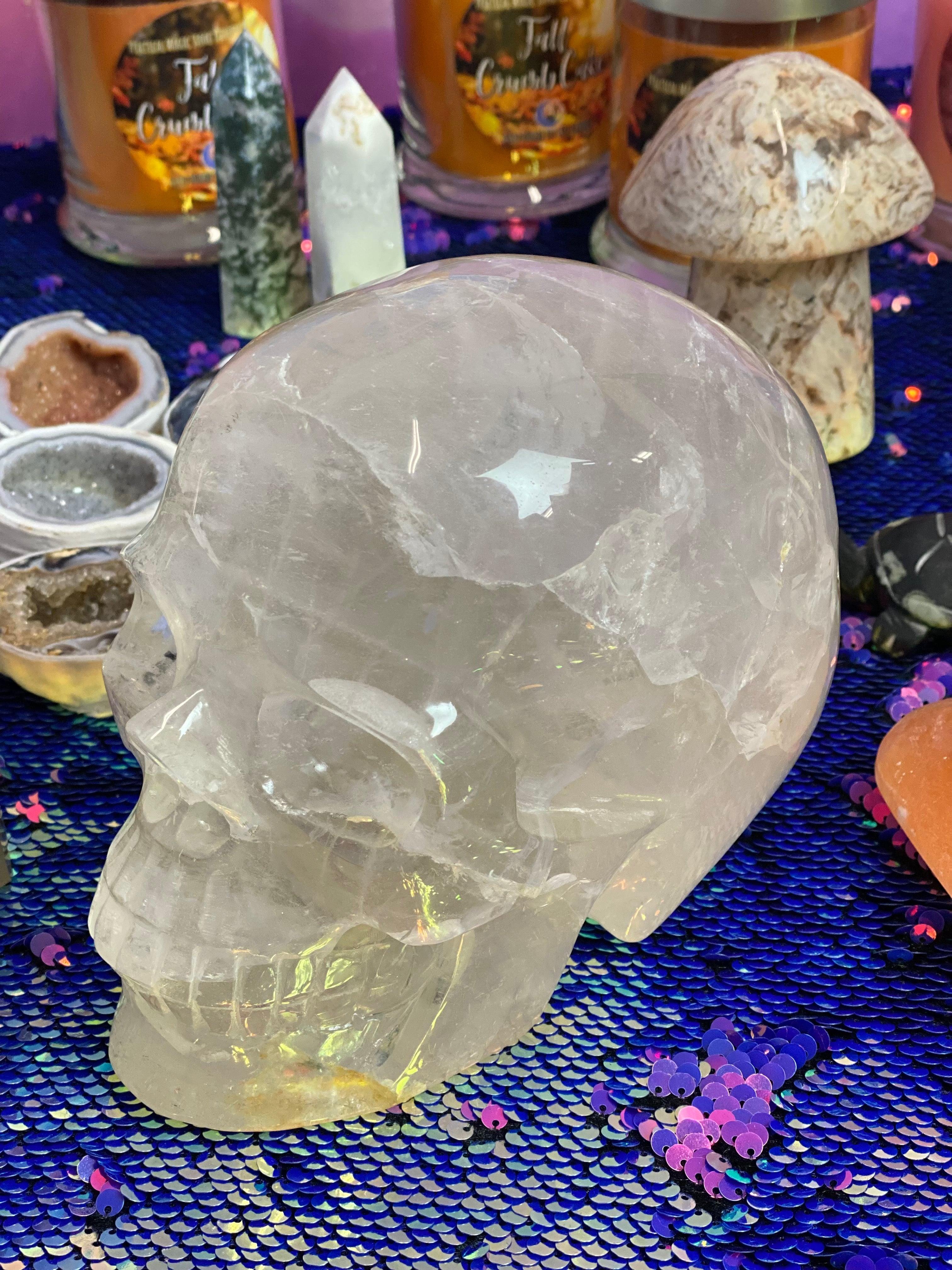 Clear Quartz Skull #4 - Practical Magic Store