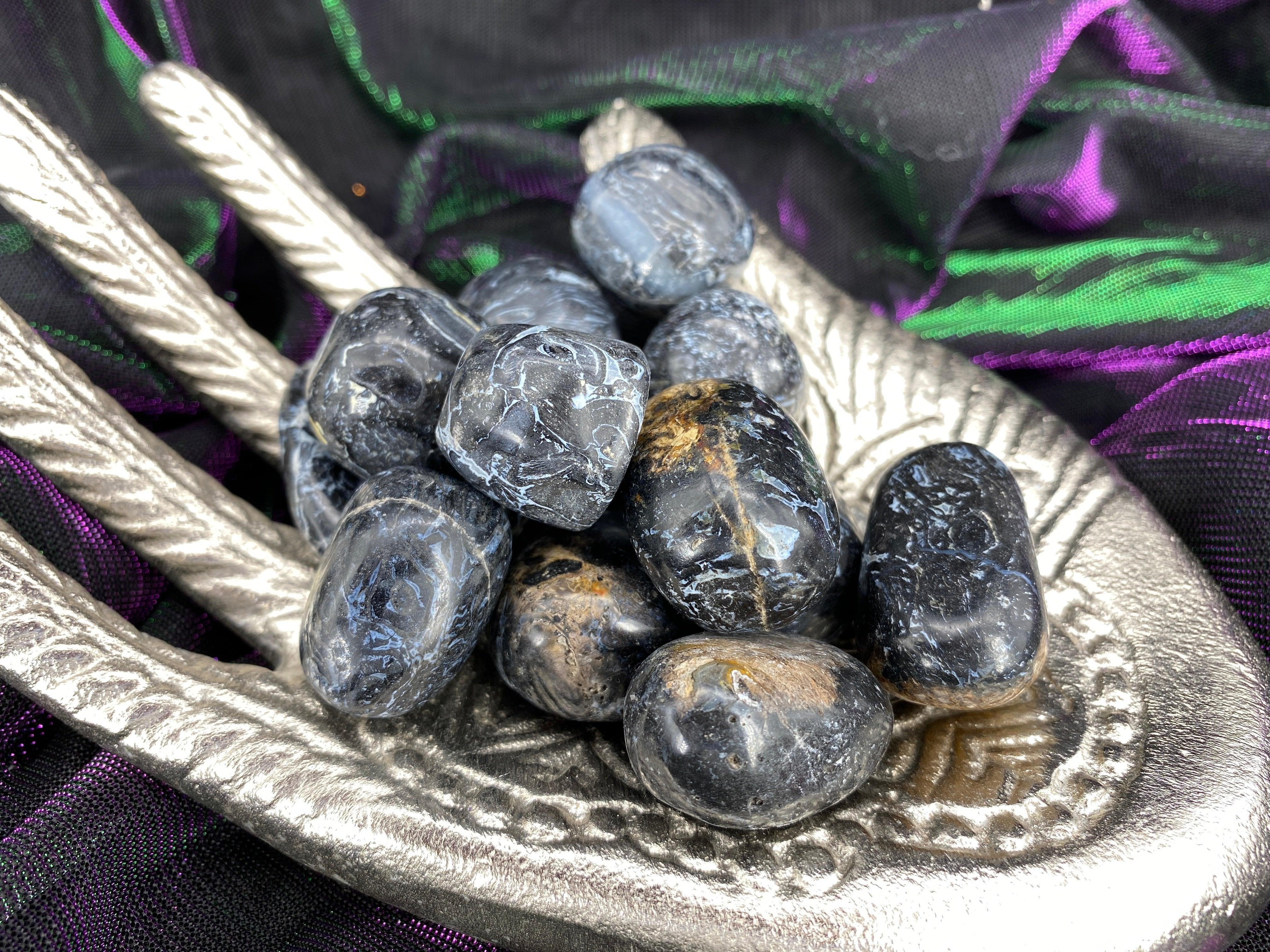 Crinoid Fossil Tumbled Stones - Practical Magic Store