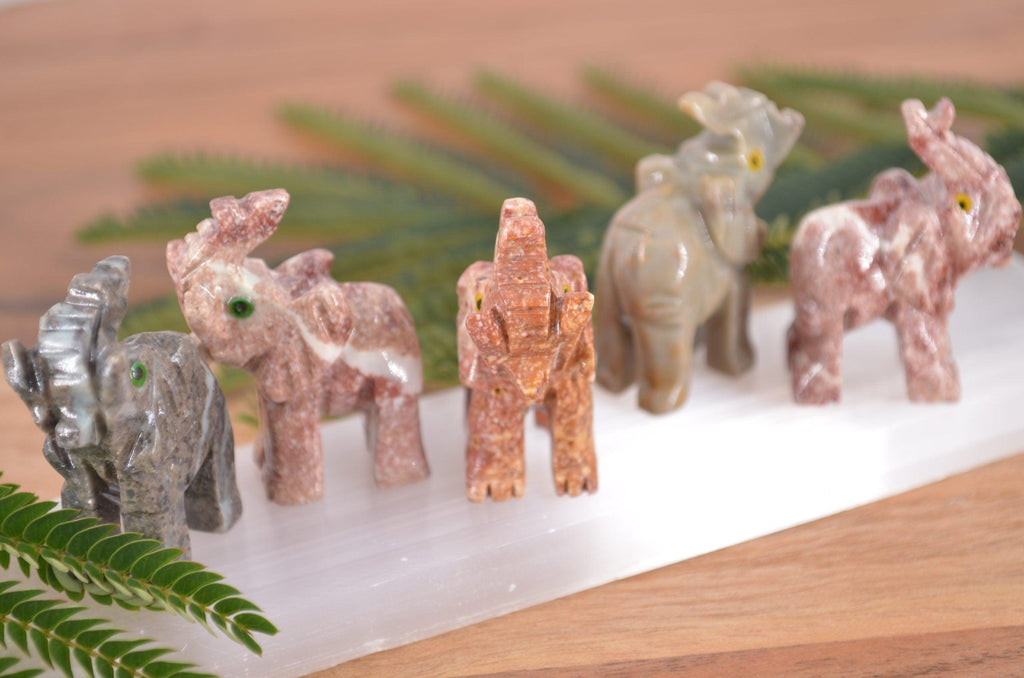 Elephant Soapstone Steatite Carving - Practical Magic Store