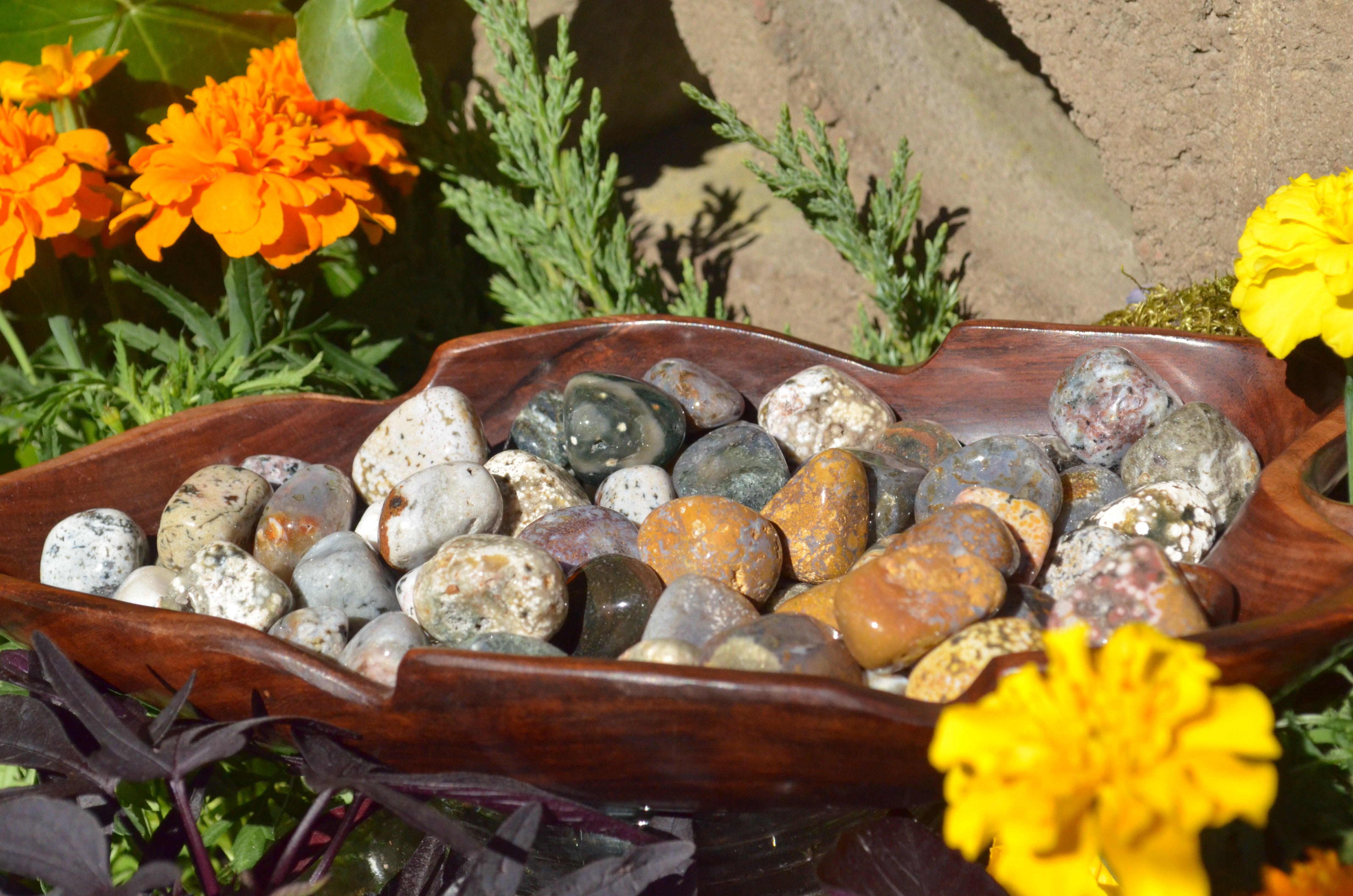 Ocean Jasper Tumbled Stones - Practical Magic Store