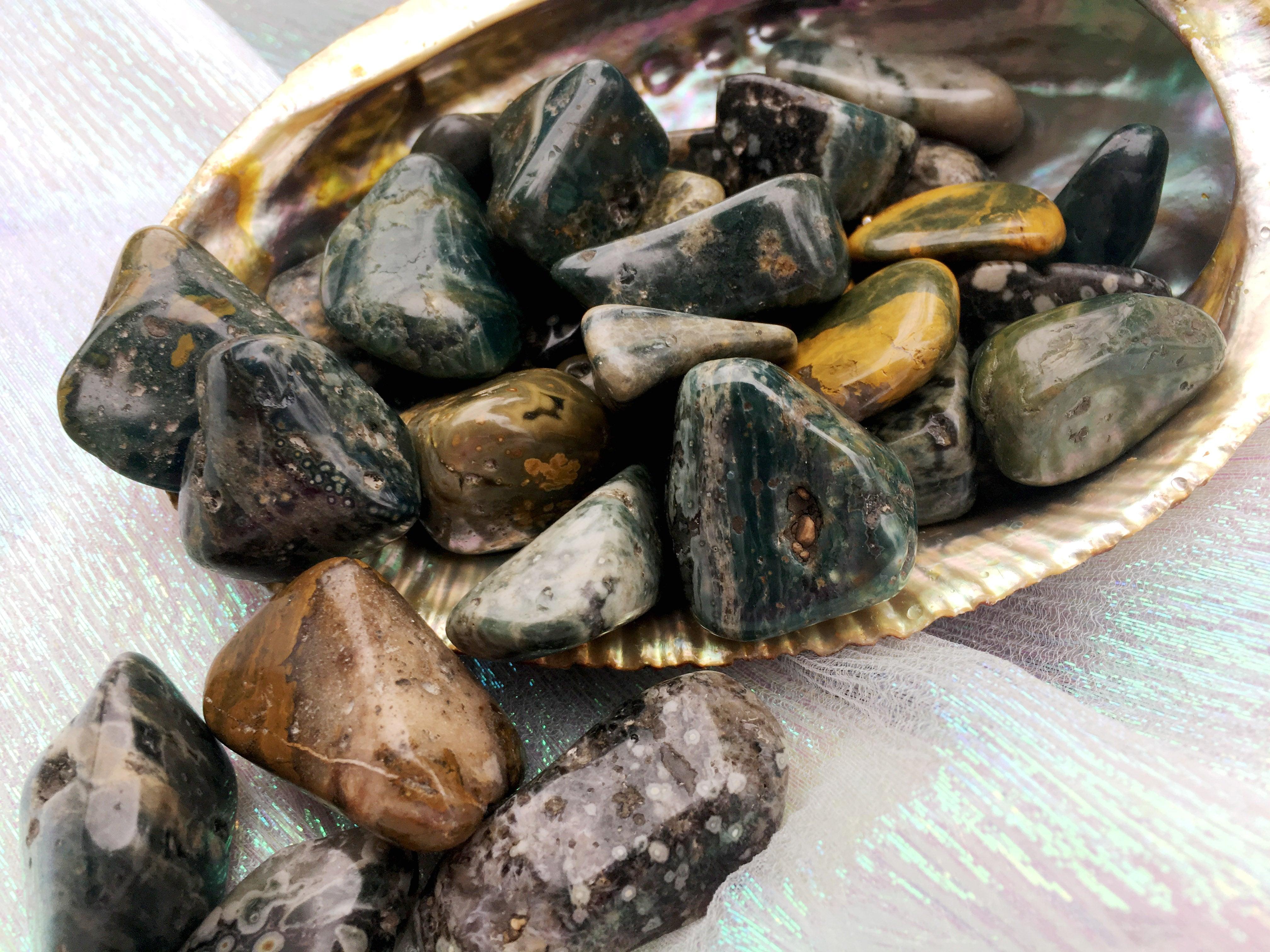 Orbicular Sea Jasper "Jaguar Stone" Tumbled Stones - Practical Magic Store