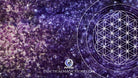Downloadable Practical Magic Amethyst Flower of Life screensaver featuring a vibrant purple gemstone design and mystical floral patterns.