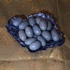 Large Angelite tumbled stones from Practical Magic Store, showcasing smooth, pale blue mineral stones for healing and meditation.