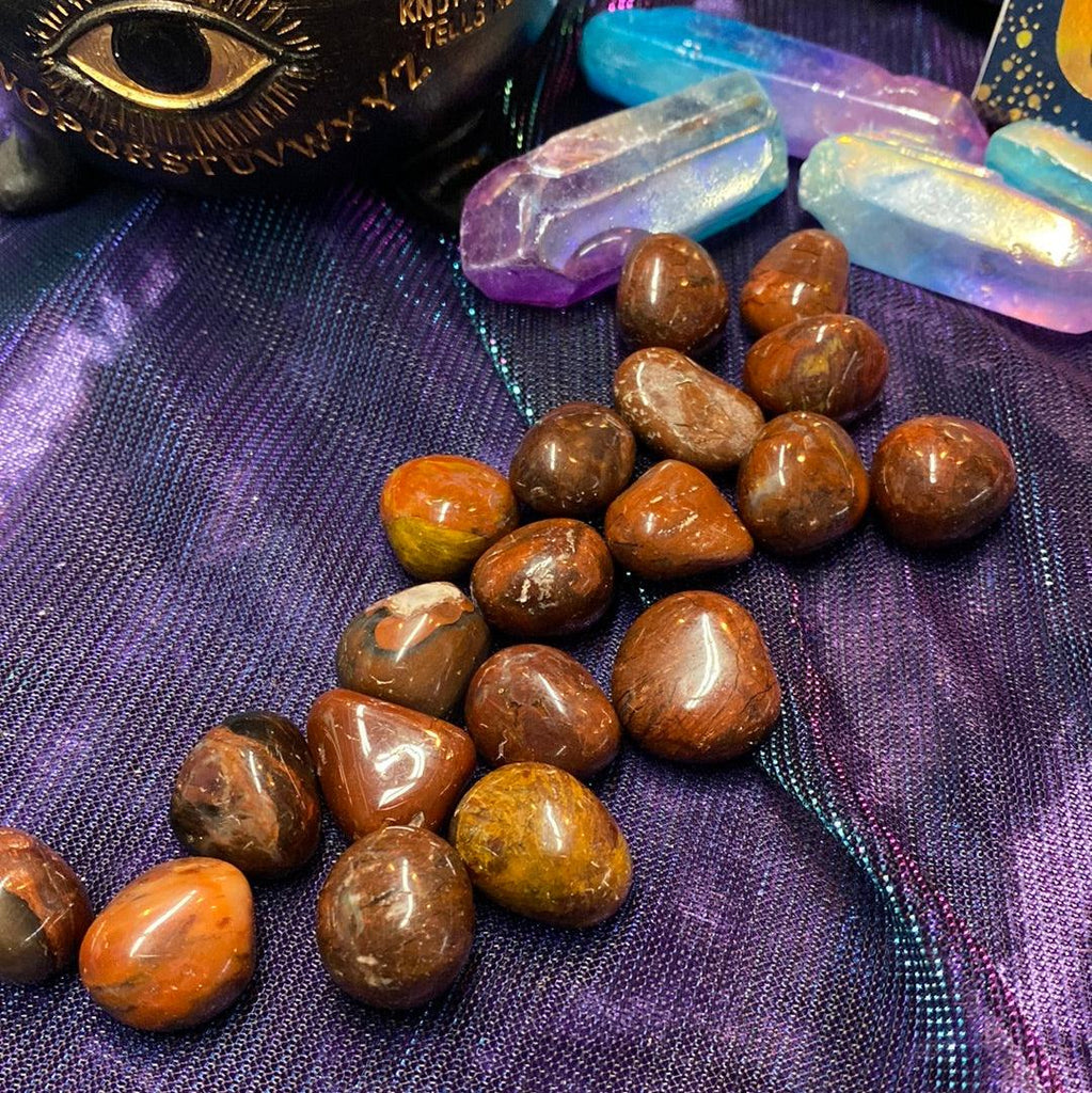 Red Petrified Wood Tumbled Stones - Practical Magic Store