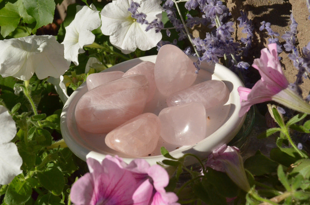 Rose Quartz Tumbled Stones - Practical Magic Store