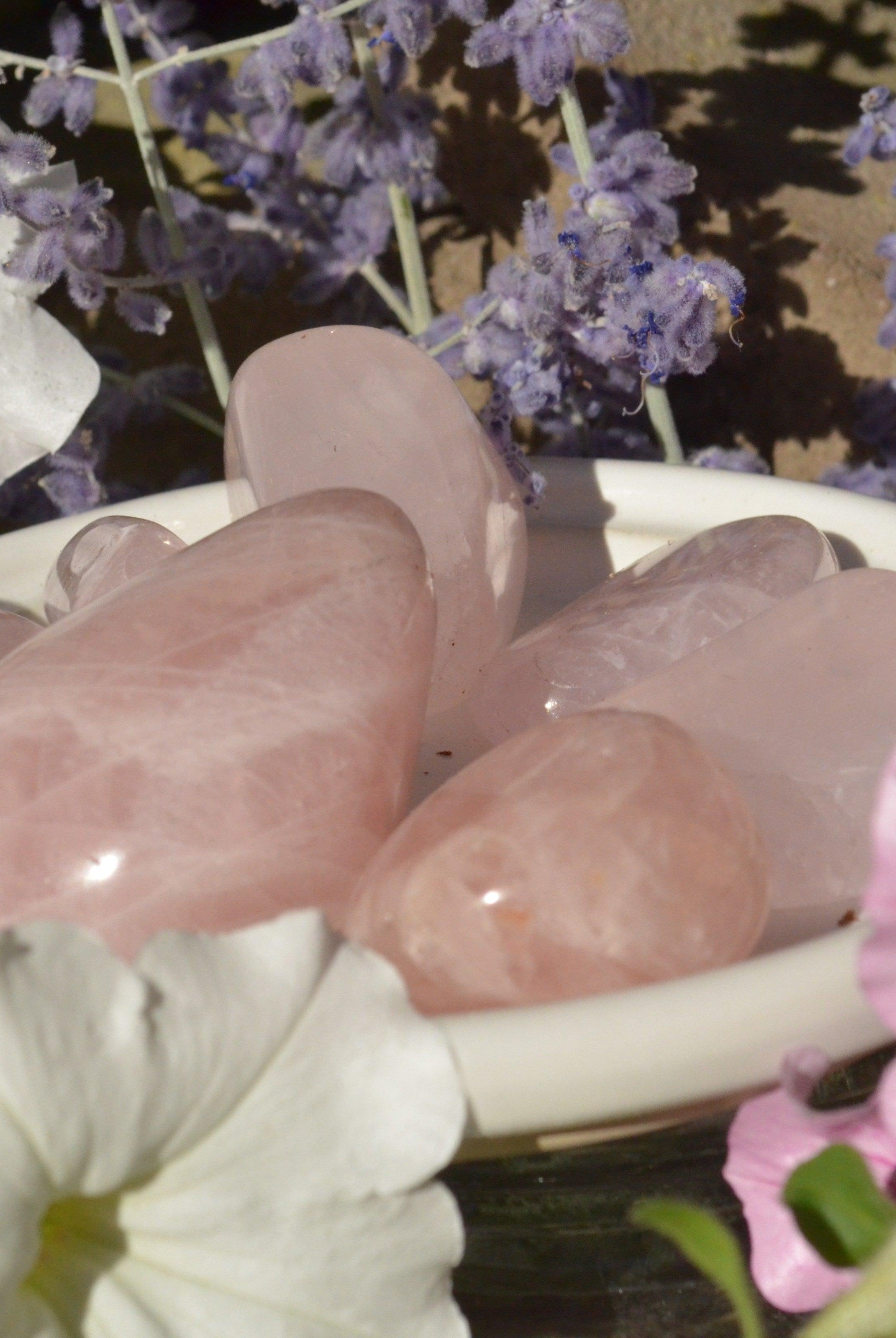 Rose Quartz Tumbled Stones - Practical Magic Store