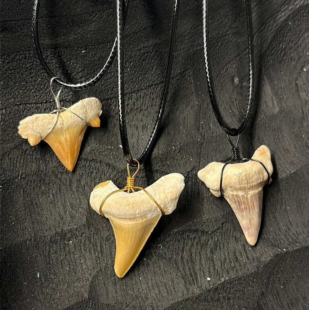 Shark Tooth Necklace - Practical Magic Store
