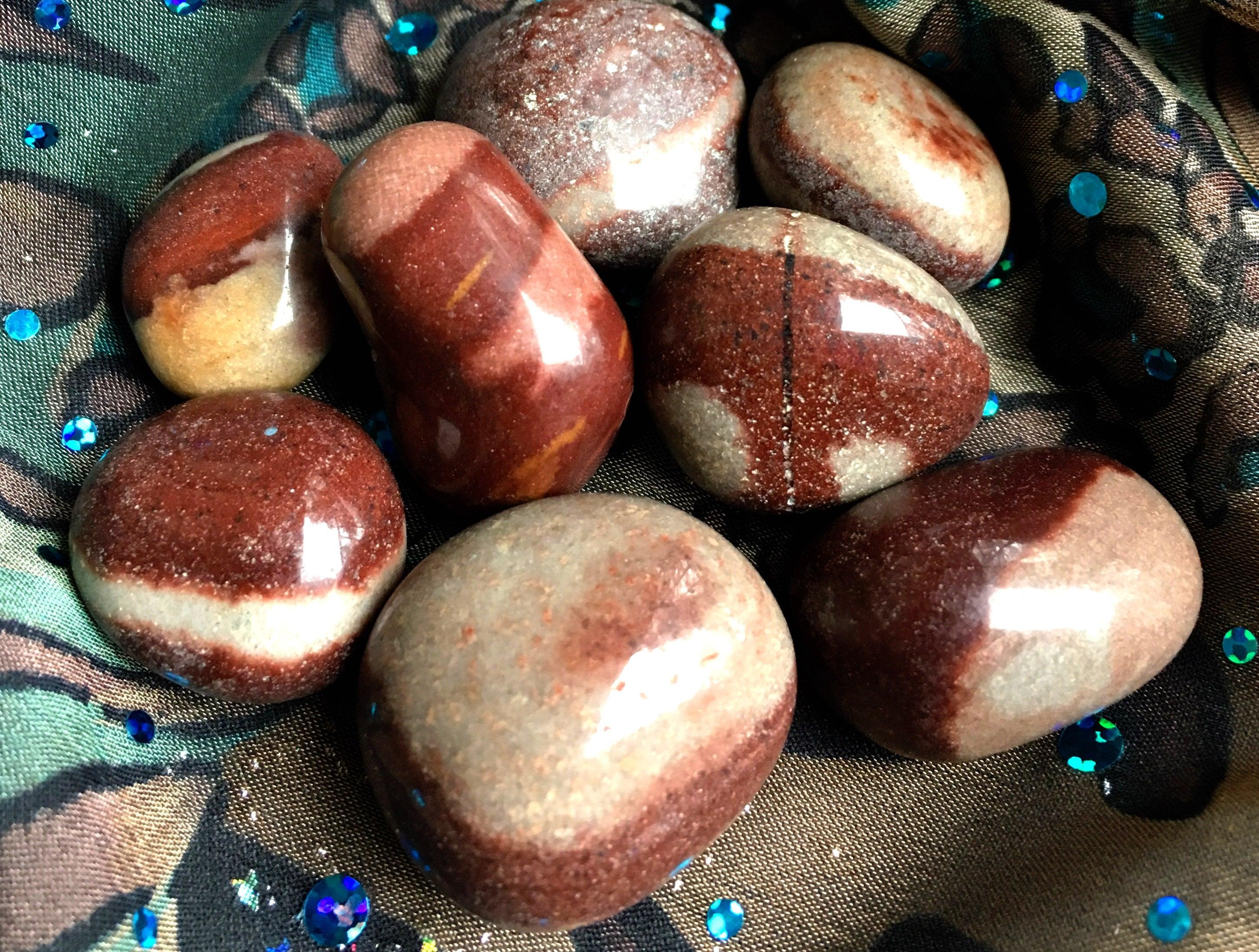 Shiva Lingam Tumbled Stones - Practical Magic Store