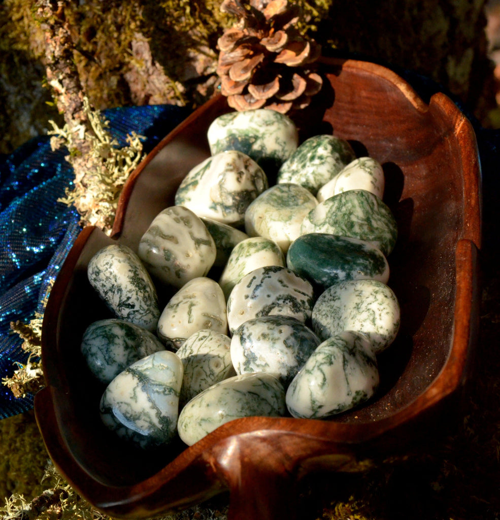 Tree Agate/Moss Agate Tumbled Stones - Practical Magic Store