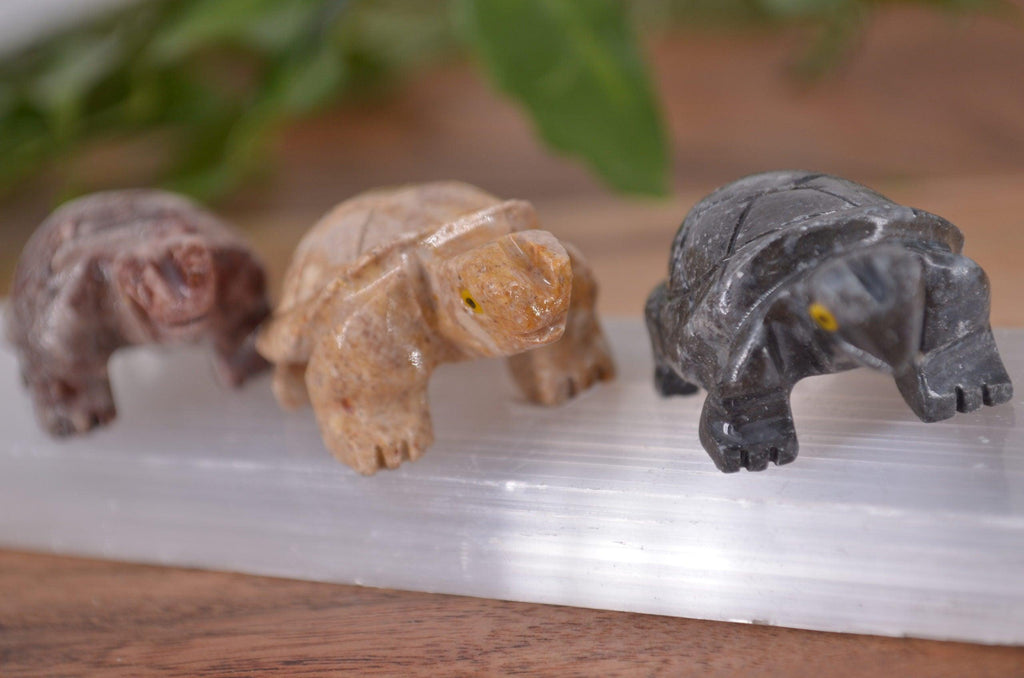 Turtle Soapstone Steatite Carving - Practical Magic Store