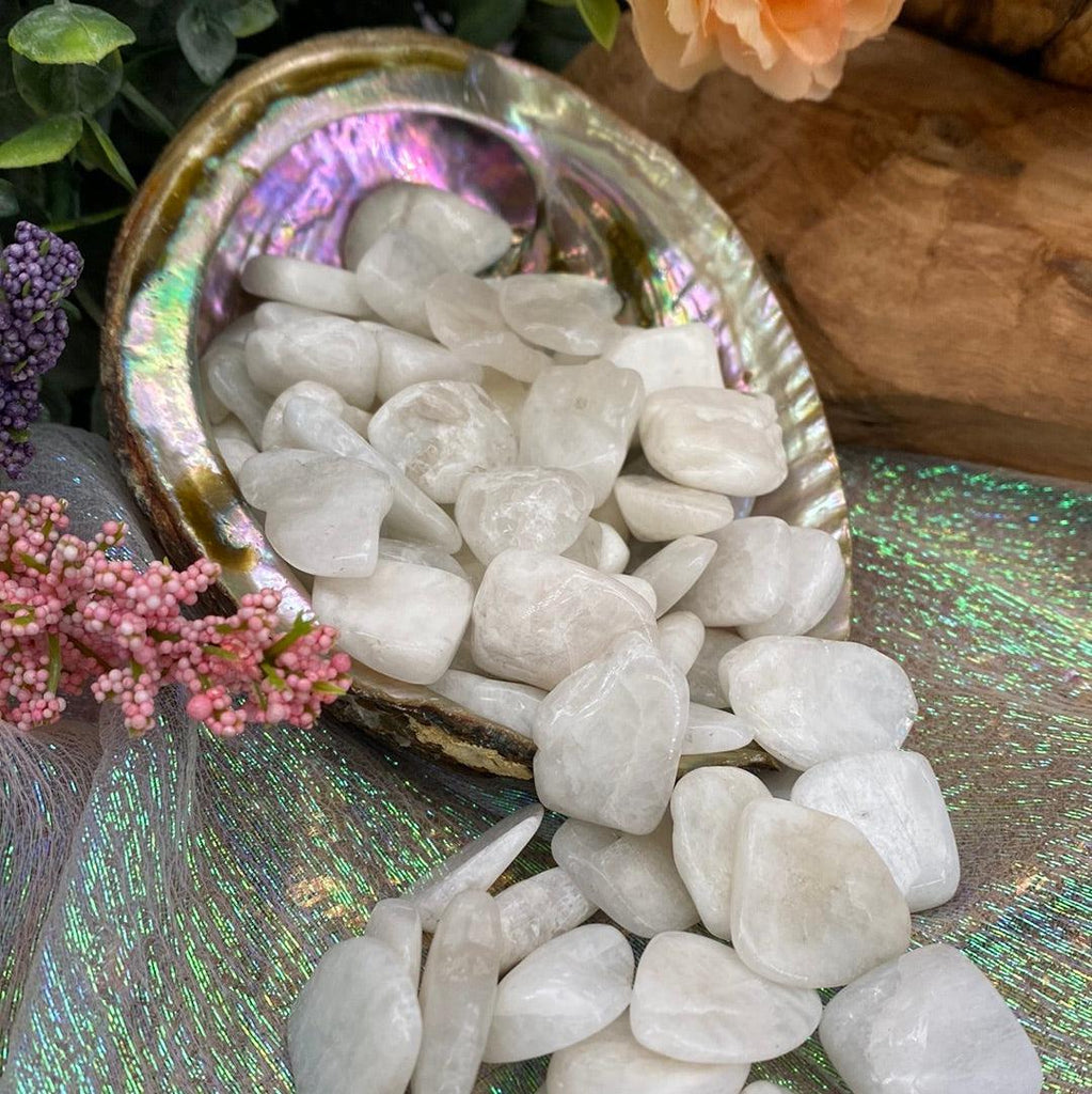 White Moonstone Tumbled Stones - Practical Magic Store